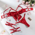 Allure Unveiled Luxury Mesh Erotic Lingerie Set