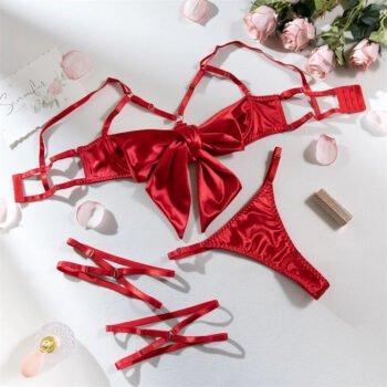 Allure Unveiled Luxury Mesh Erotic Lingerie Set